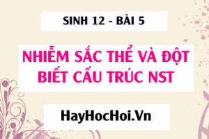 Hình thái và cấu trúc nhiễm sắc thể, các dạng đột biến cấu trúc nhiễm sắc thể - Sinh 12 bài 5